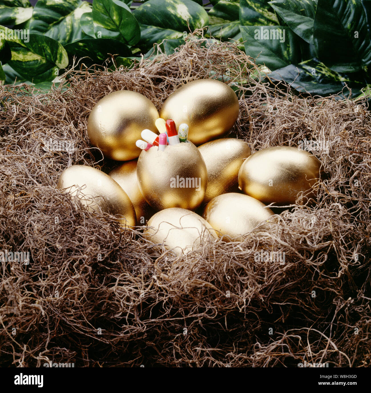 Gold eggs in nest Stock Photo