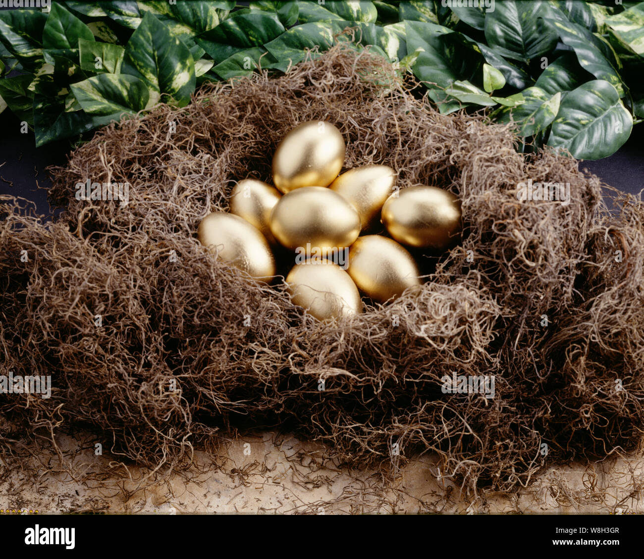 Gold eggs in nest Stock Photo Alamy