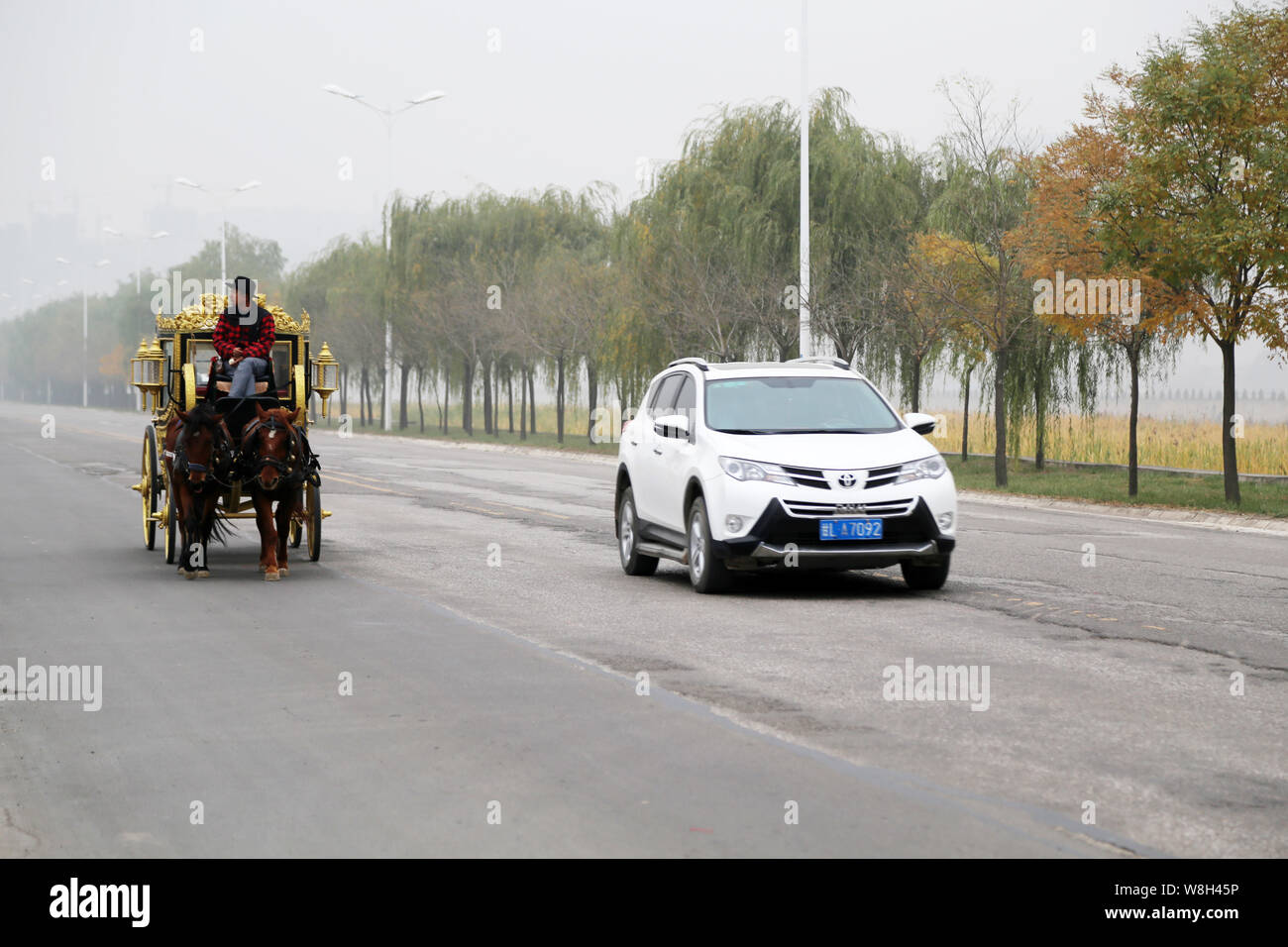 Chinese carriage pulled hi-res stock photography and images - Alamy