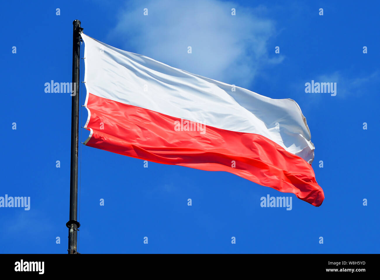 Polish national flag in Poznan - Poland Stock Photo - Alamy