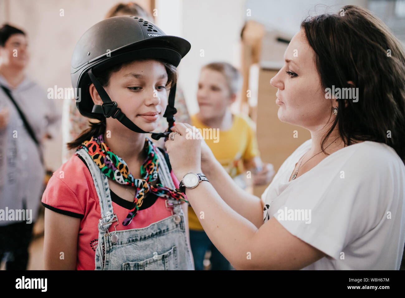 Horses and visitors to the equestrian base, horseback riding. Feeding ...