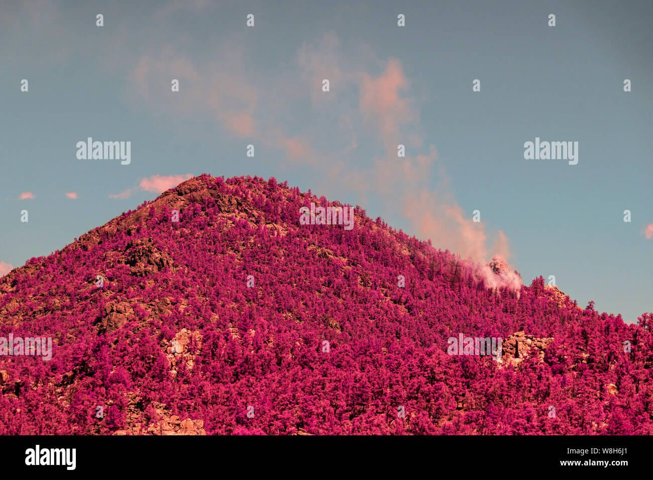 White smoke rising up into blue sky from forest fire. Infrared image. Stock Photo