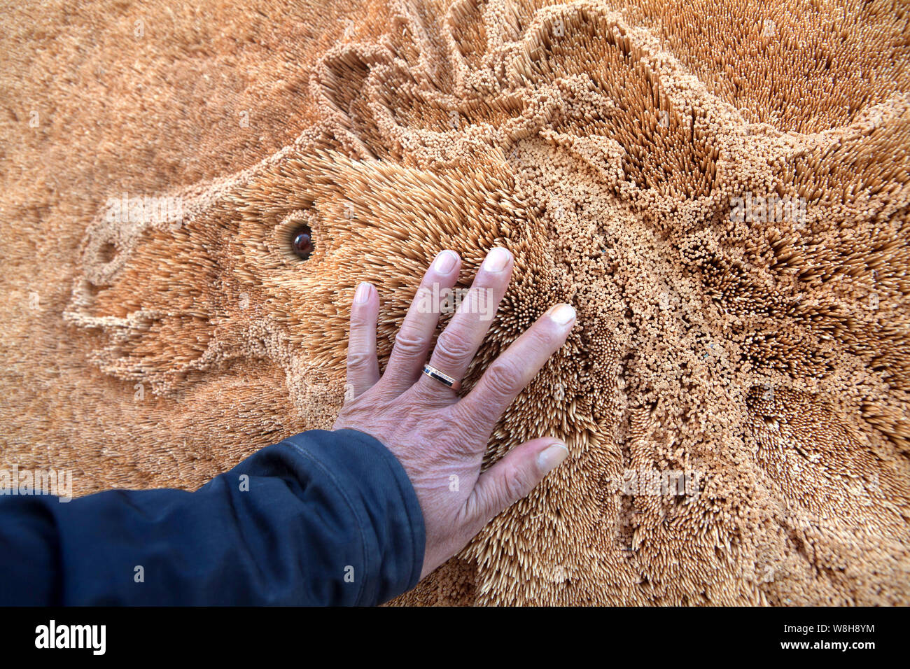 38-year-old Liu Xuedong strokes his toothpick-made 3D horse painting in ...
