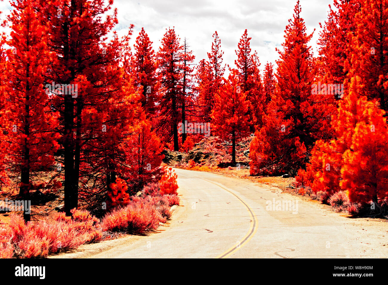 Country road curving through autumn trees under cloudy skies. Stock Photo
