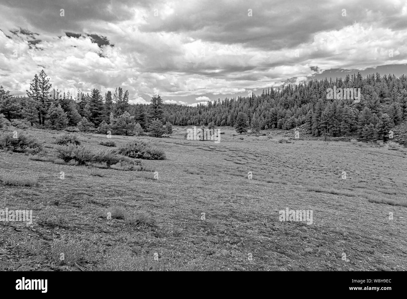 Sierra nevada mountains Black and White Stock Photos & Images - Alamy