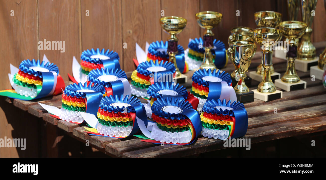 Group of horse riding equestrian sport trophies badges rosettes at equestrian event Stock Photo