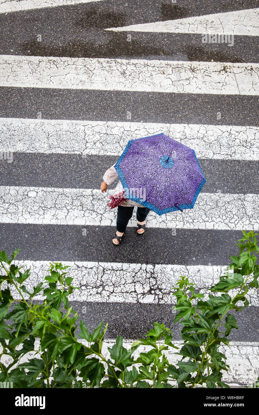 Scene of a woman with fashion umbrella crossing the sidewalk. Top view. Rainy day concept Stock Photo