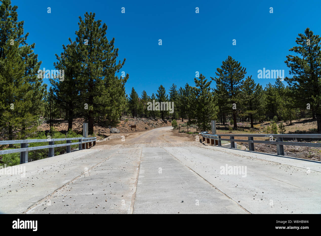 Cement bridge with guard rails leading to dirt road with tall pine trees on either side under bright blue sky. Stock Photo
