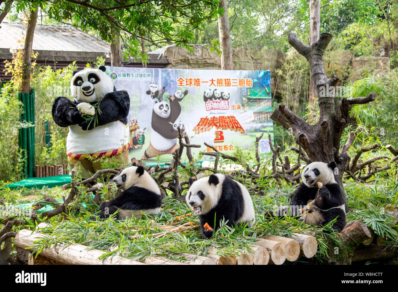 download kung fu panda 3 full movie in english download kung fu panda 3 full movie in english