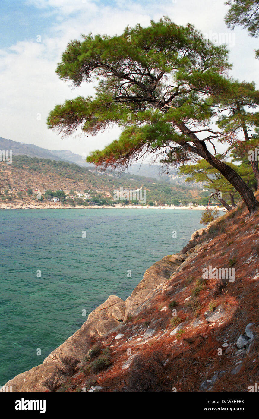 On the pine-clad peninsula at Alykí, looking back up the western bay to the village, Thassos, Greece Stock Photo