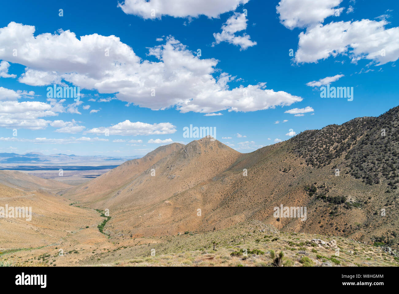 Looking out over desert canyon,  and mountains with valley below under blue sky with white clouds. Stock Photo