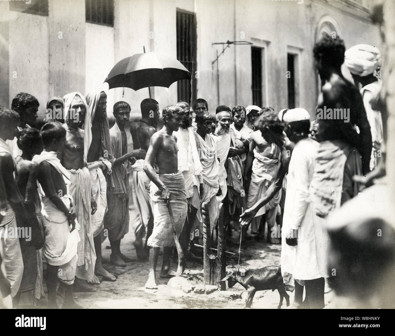 19th century vintage photograph - Animal slaughter, young goat, with watching crowd, India Stock Photo