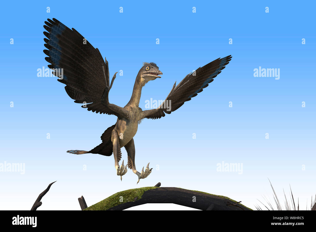 late bird dinosaur late bird dinosaur