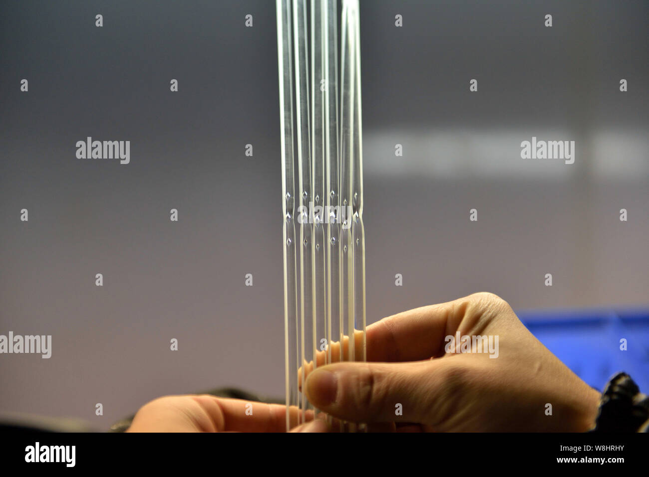 A Chinese worker shows semi-finished glass tubes of mercury-in-glass thermometers at the plant of Jiangsu Yuyue Medical Equipment & Supply Co., Ltd. i Stock Photo
