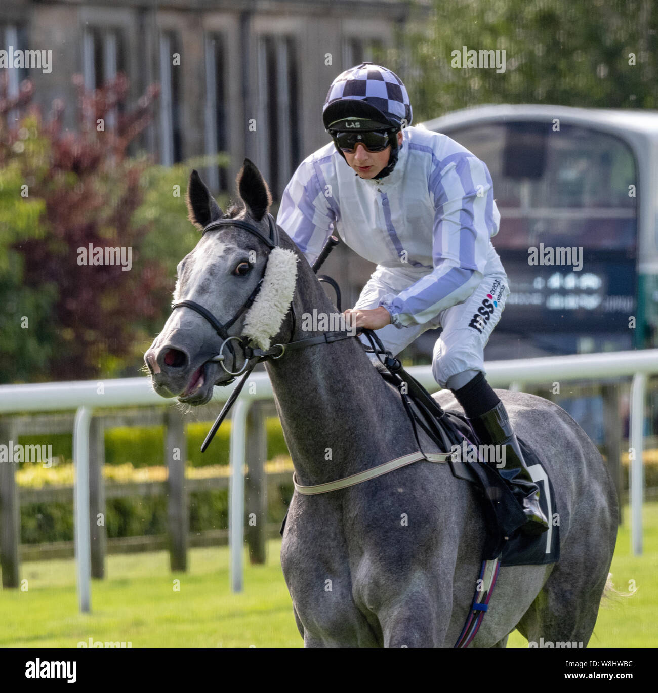 Jockey Andrew Breslin on Just A Rumour before the start of the 'Boogie In The Morning Handicap', Musselburgh Racecourse, 9th August 2019 Stock Photo