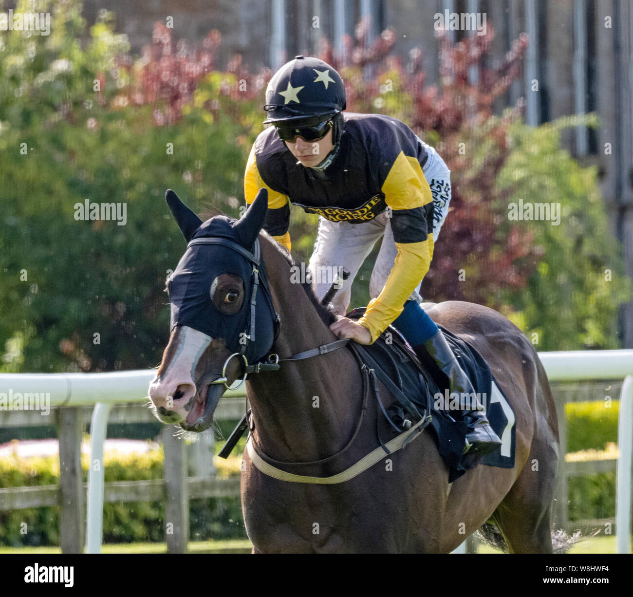 Jockey Phil Dennis on Burmese Blazer before the start of the 'Boogie In The Morning Handicap', Musselburgh Racecourse, 9th August 2019 Stock Photo