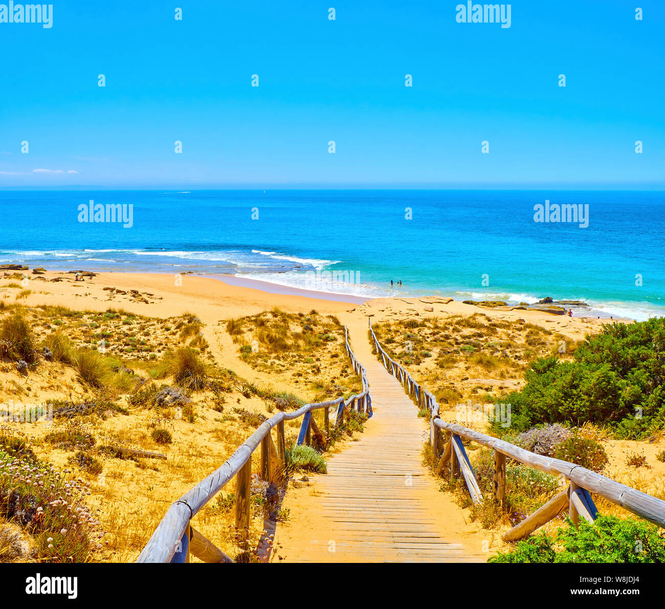 Wooden Boardwalk Going To Faro De Trafalgar Beach A Broad Beach Of The Wooden Boardwalk Going To Faro De Trafalgar Beach A Broad Beach Of The