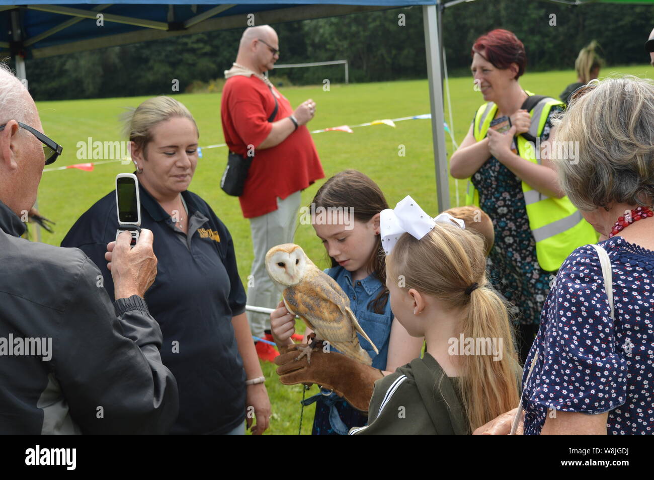 Wild birds show owls Eagle UK England Stock Photo