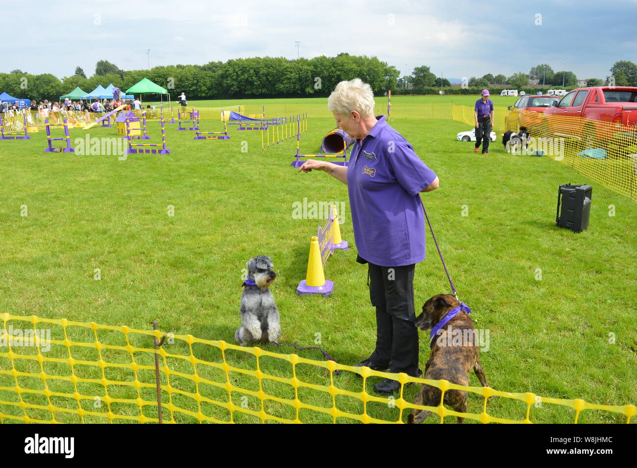 Dog show competition in UK Stock Photo