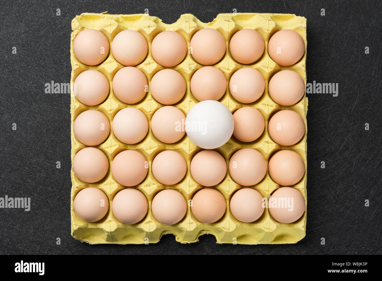 giant size goose egg between small chicken eggs concept of size comparison Stock Photo