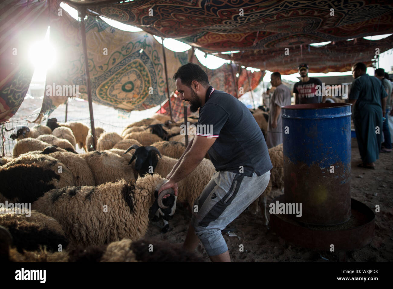 Tripoli, Libya. 9th Aug, 2019. A man drags a sheep at a livestock market in Tripoli, Libya, on Aug. 9, 2019. Libya's National Animal Health Center on Friday said that 350,000 sheep have been imported for Eid al-Adha, or the 'Festival of the Sacrifice.' Credit: Amru Salahuddien/Xinhua Stock Photo