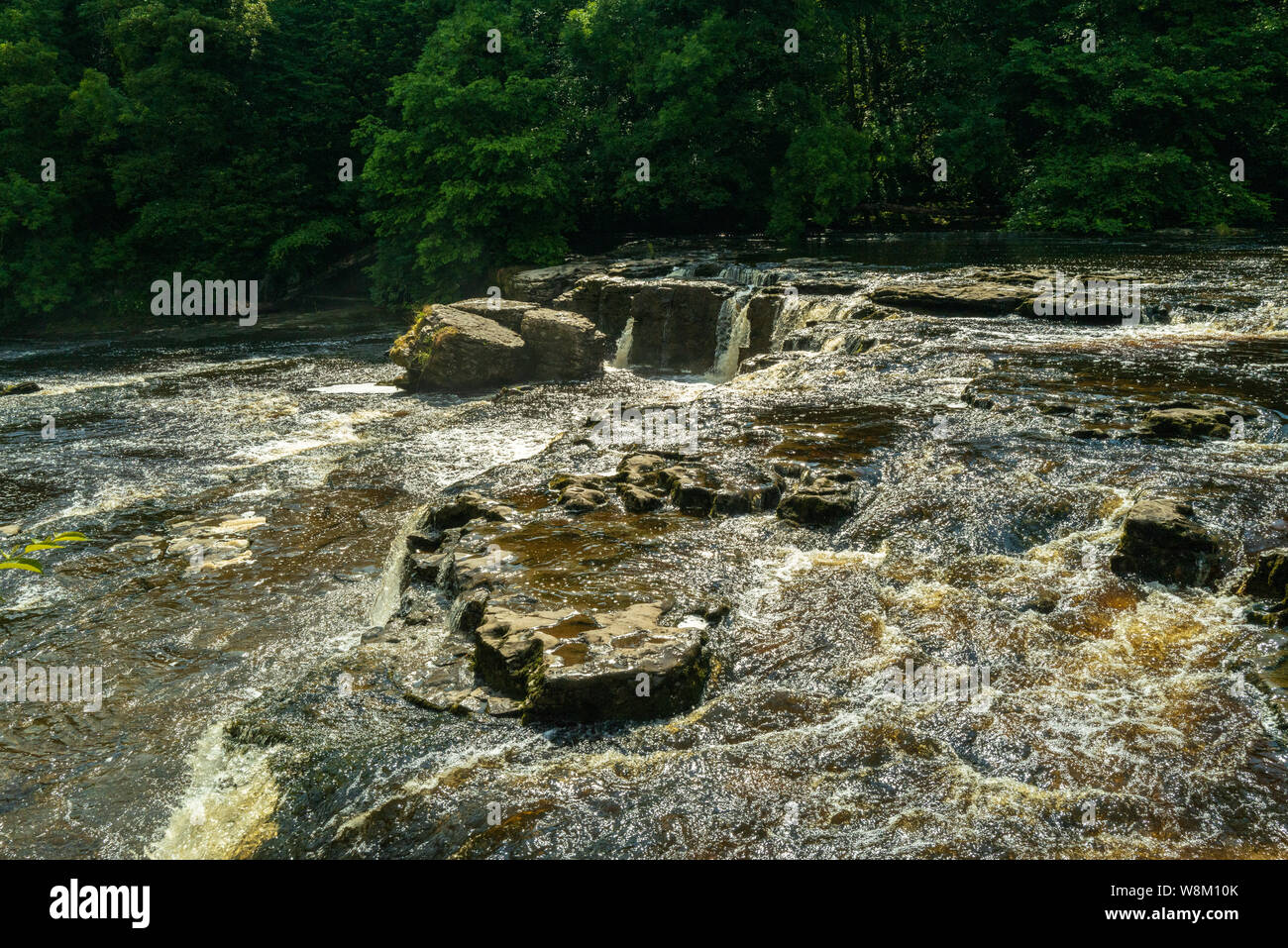 Aysgarth Falls in the Yorkshire Dales National Park are a triple flight of waterfalls surrounded by woodland and farmland, Stock Photo