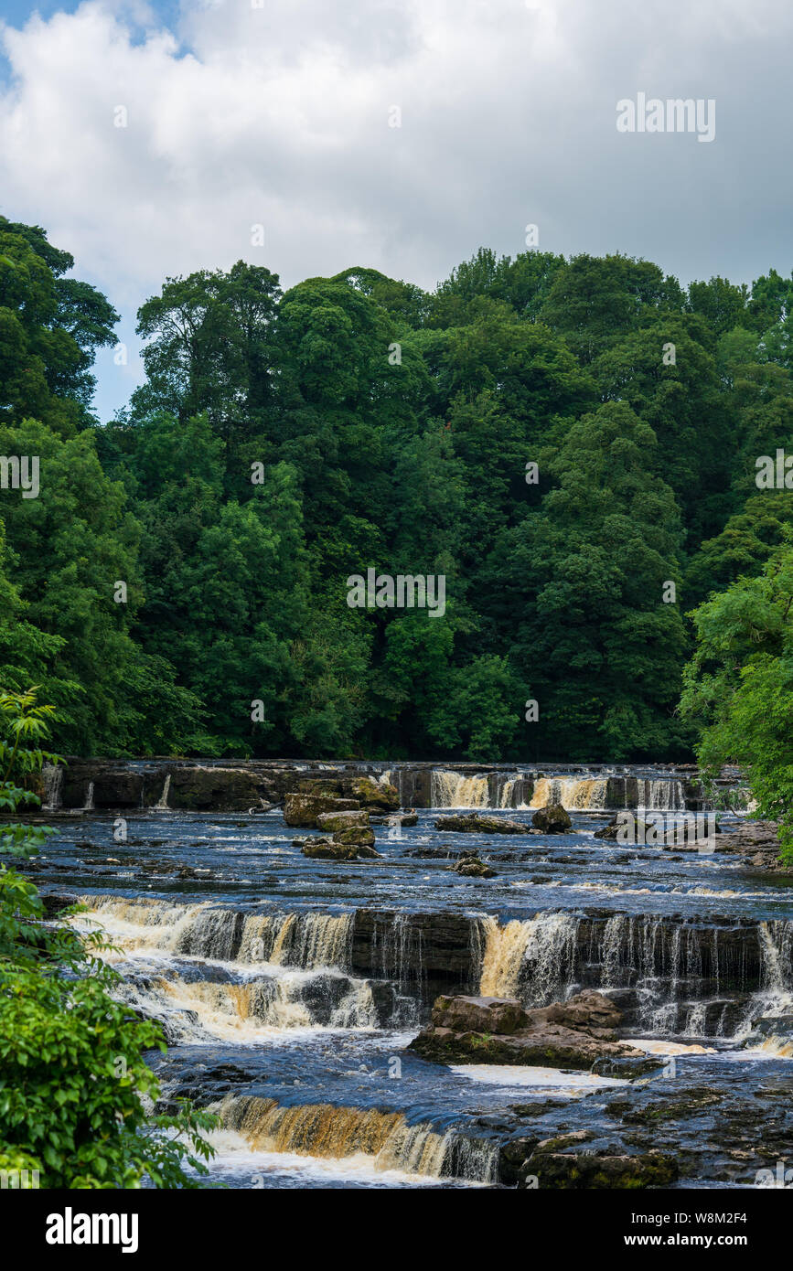 Aysgarth Falls in the Yorkshire Dales National Park are a triple flight of waterfalls surrounded by woodland and farmland, Stock Photo