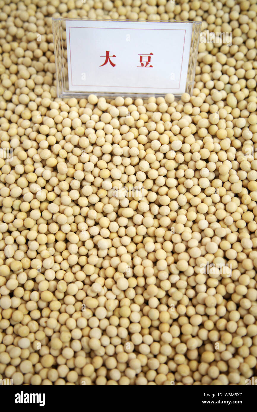 Soybean file hires stock photography and images Alamy