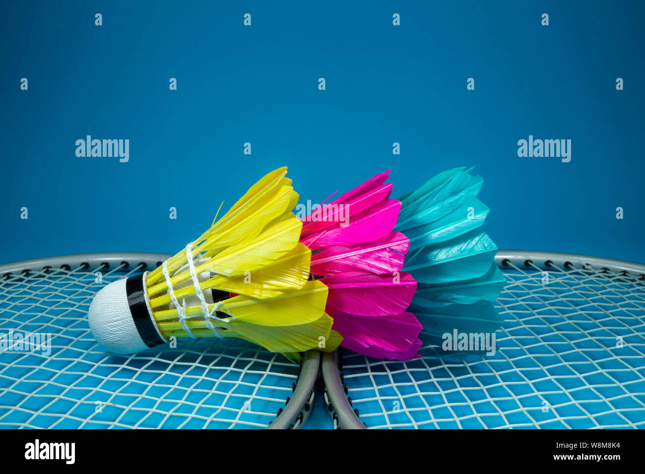 Colorful Feathered Shuttlecocks In Blue Yellow And Pink And Badminton Rackets On Blue Background In A Close Up View Stock Photo Alamy