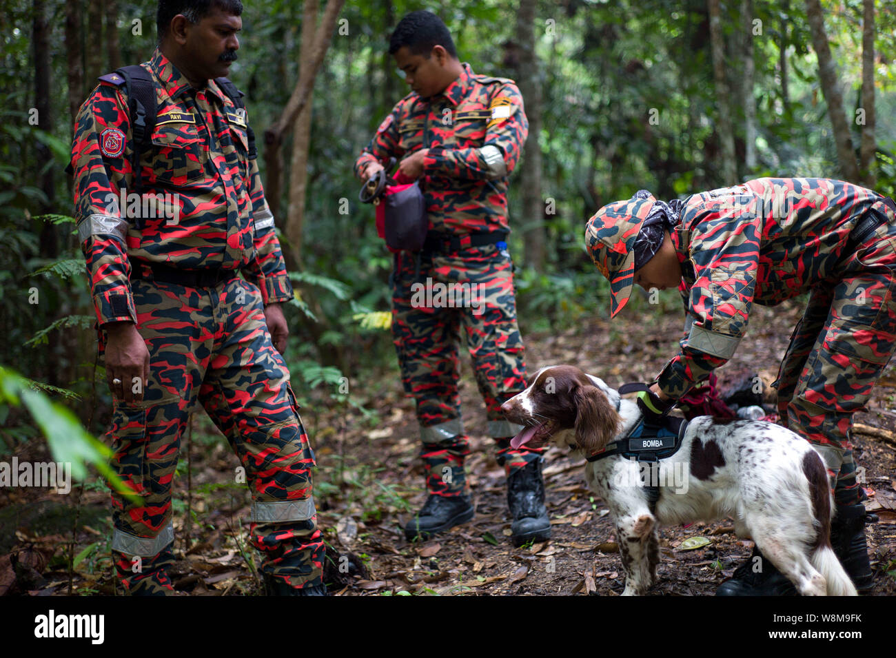 Negeri Sembilan Malaysia 10th Aug 2019 Members Of A Rescue Team And A Dog Search And