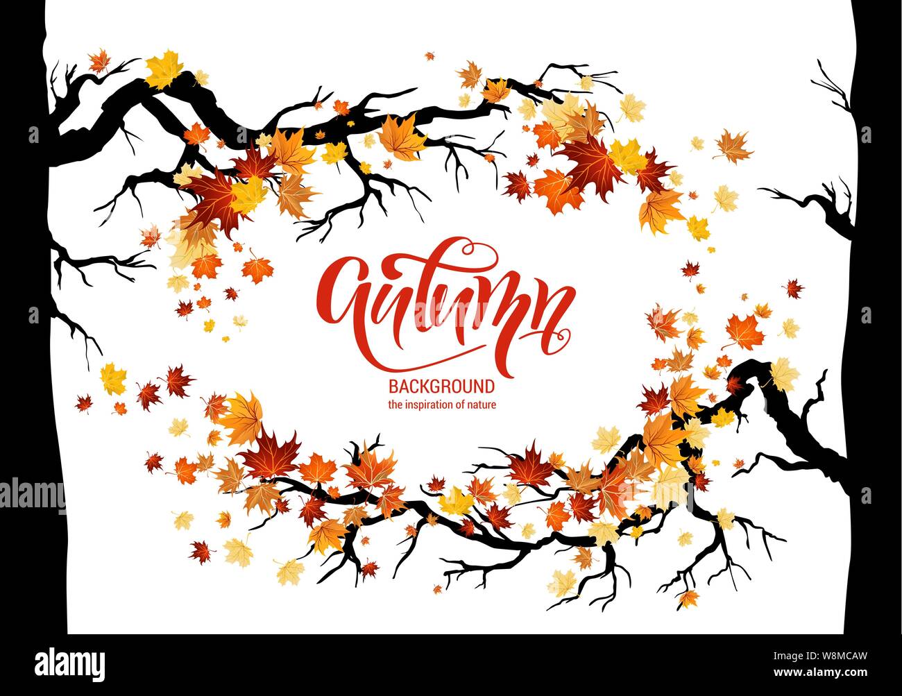 leaves and branches frame Stock Vector Image & Art - Alamy