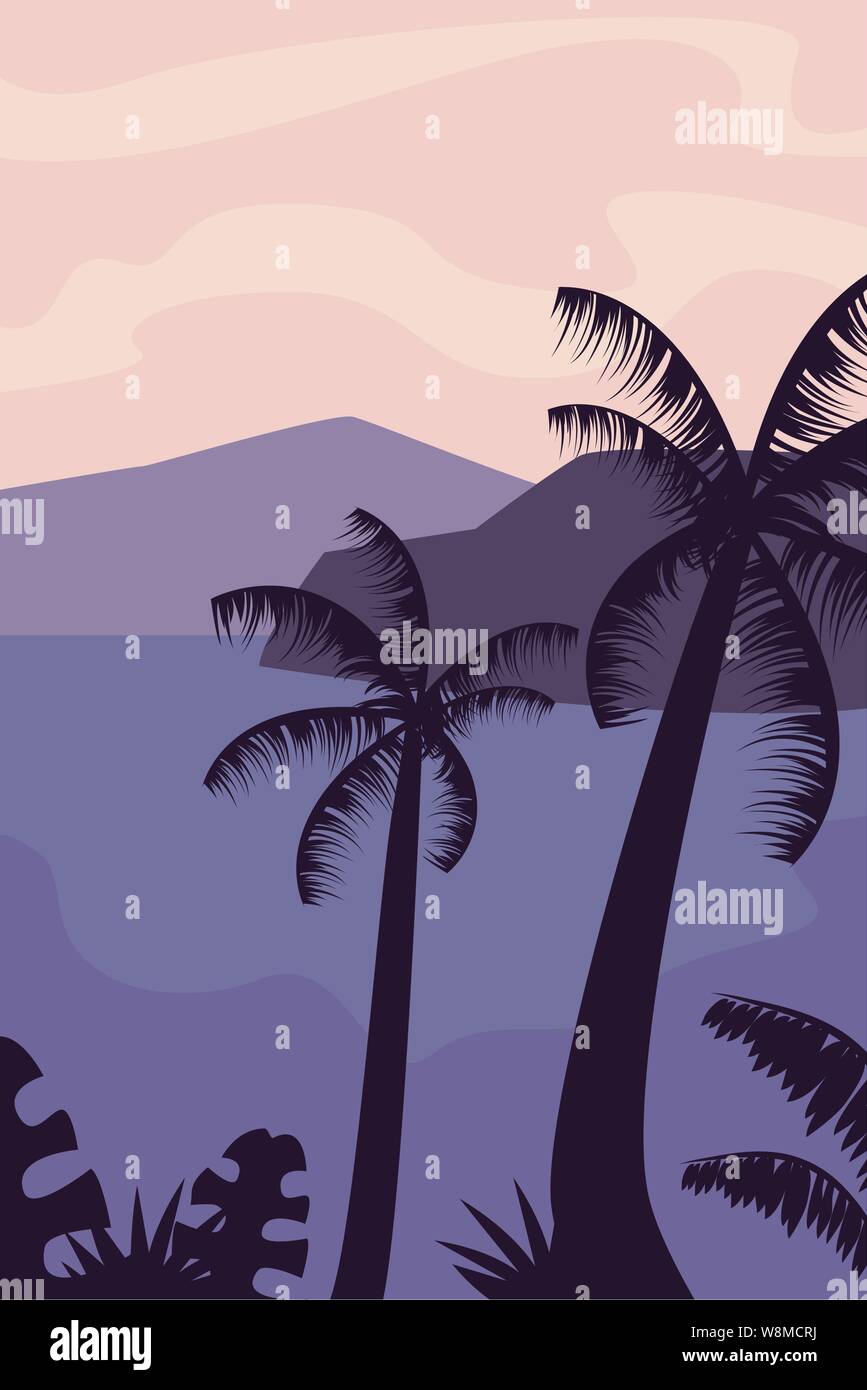 tropical palm tree summer time vacations design vector illustration ...