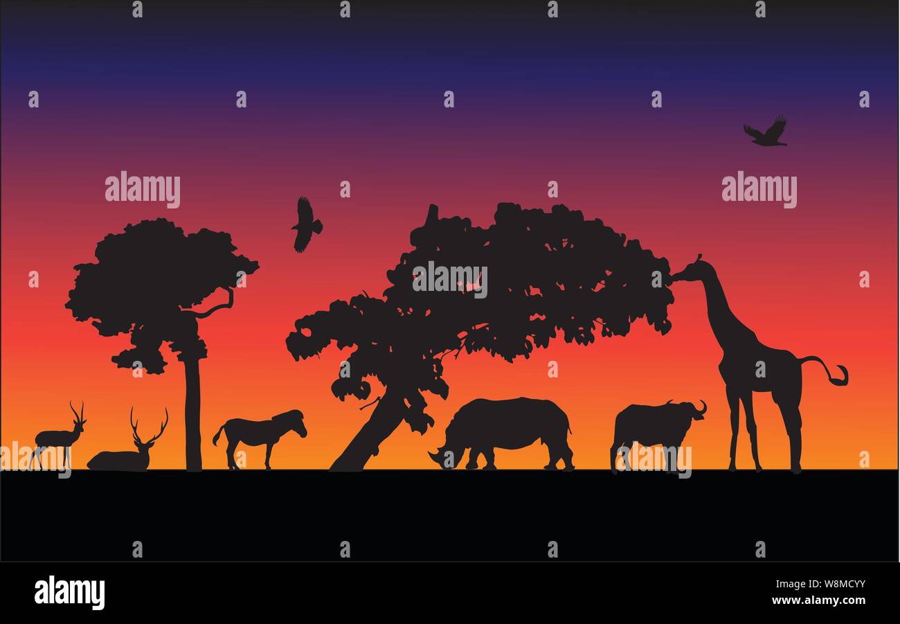 Wild animals black silhouettes, Vector illustration isolated on sunset ...