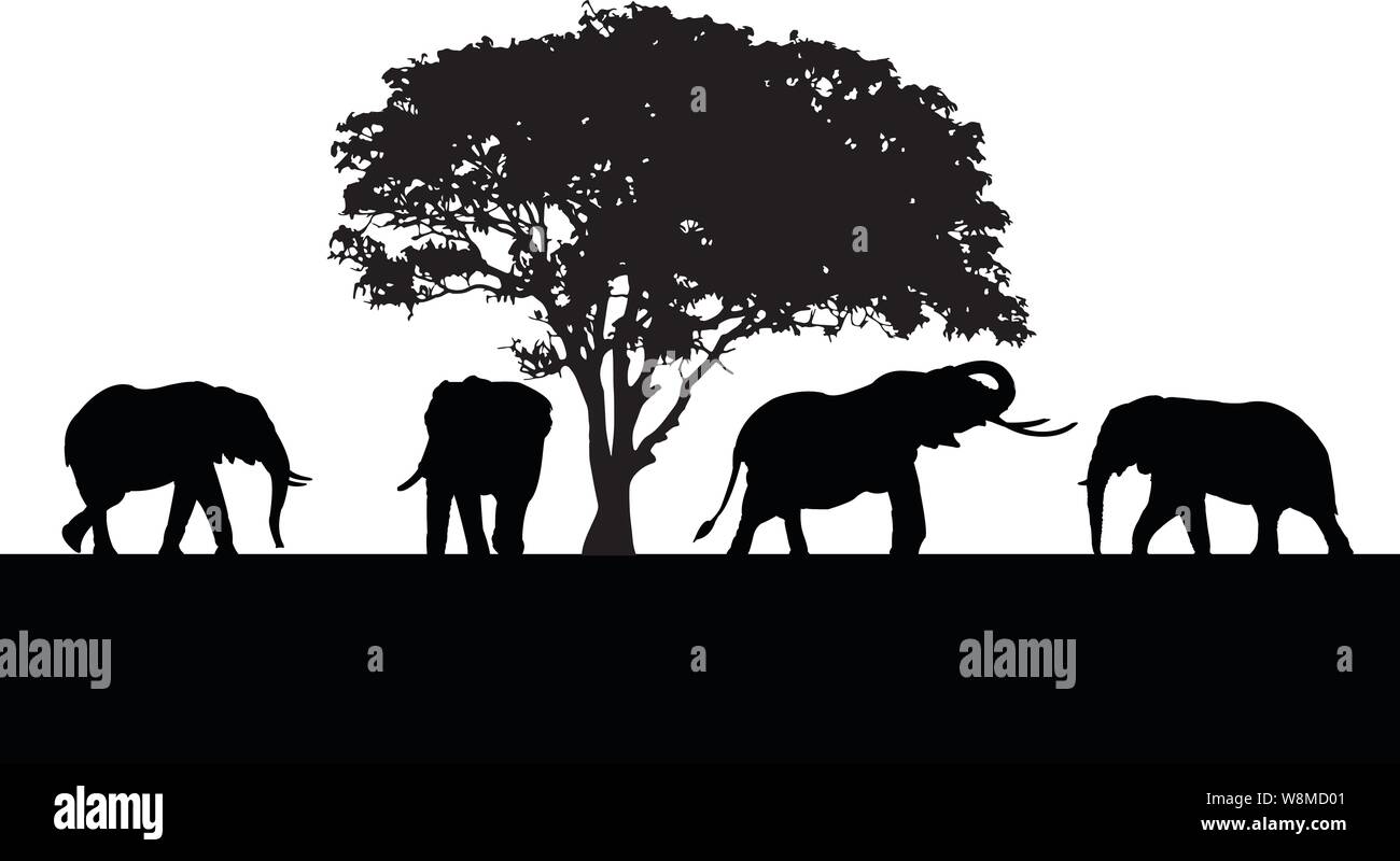 Wild animals black silhouettes, Vector illustration isolated on white