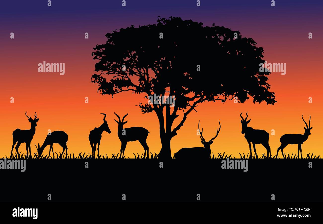 Wild animals black silhouettes, Vector illustration isolated on sunset Stock Vector