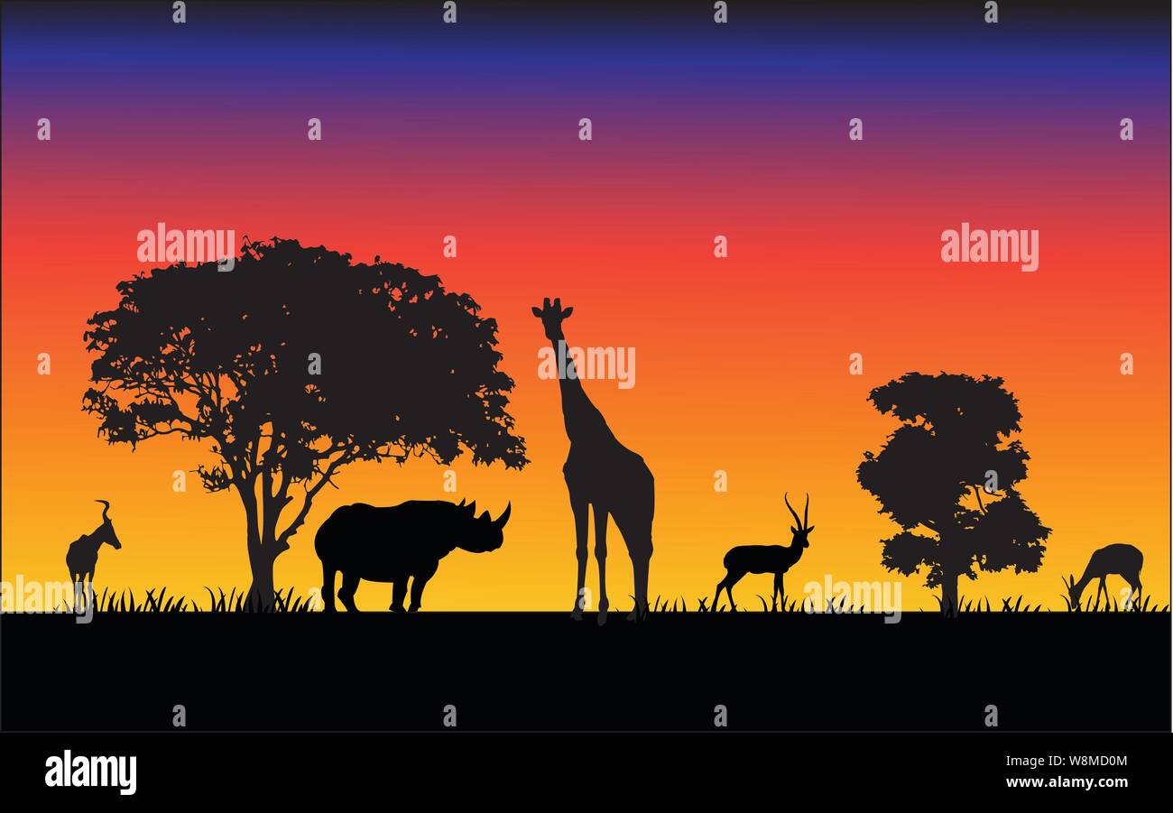 Black Silhouettes Of African Animals In The Savannah On An Orange