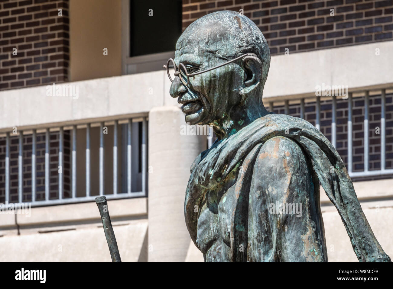 Mahatma Gandhi statue on the campus of the University of North Florida in Jacksonville, Florida. (USA) Stock Photo