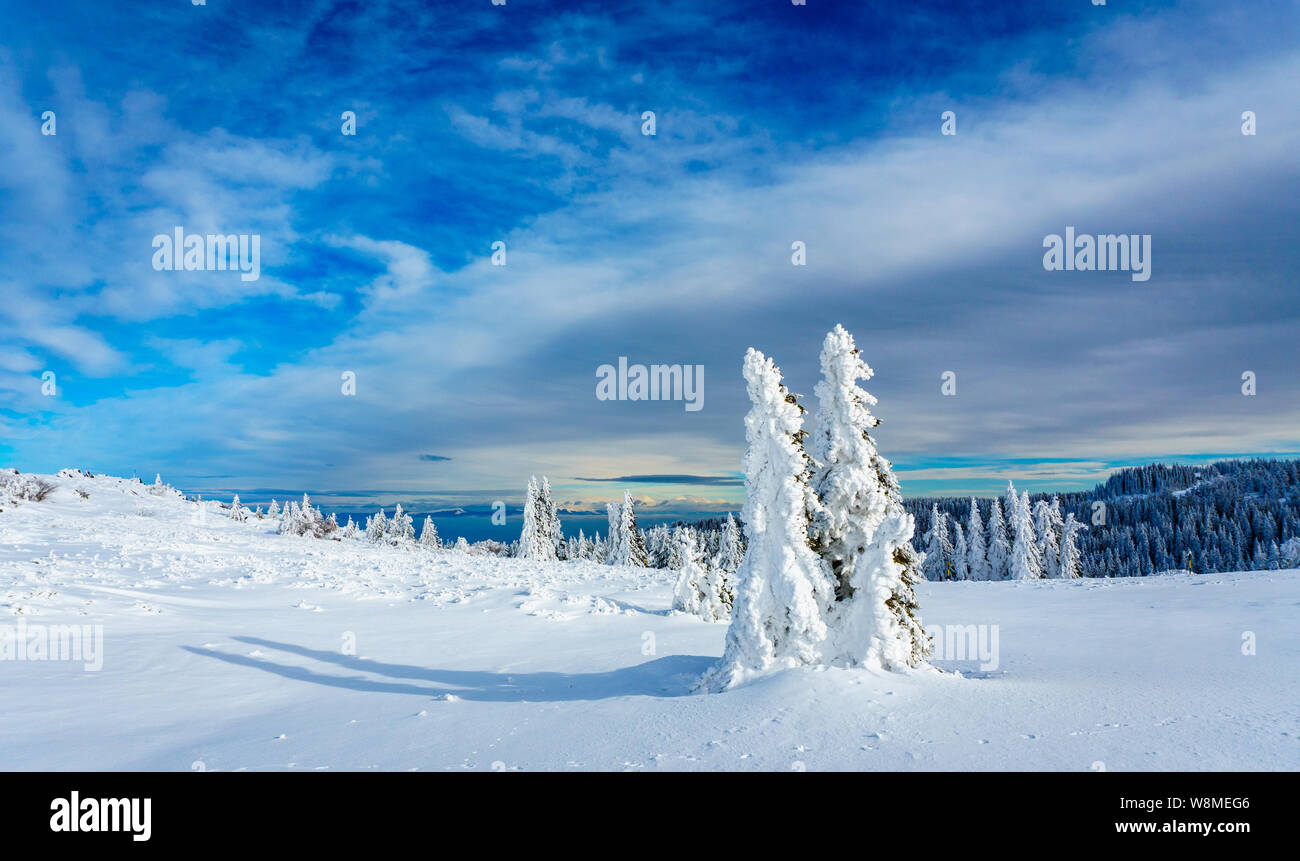 Brilliant winter scenery - amazing frozen landscape on a mountain top in Bulgaria - vivid colors, pristine picturesque nature - impressive composition Stock Photo