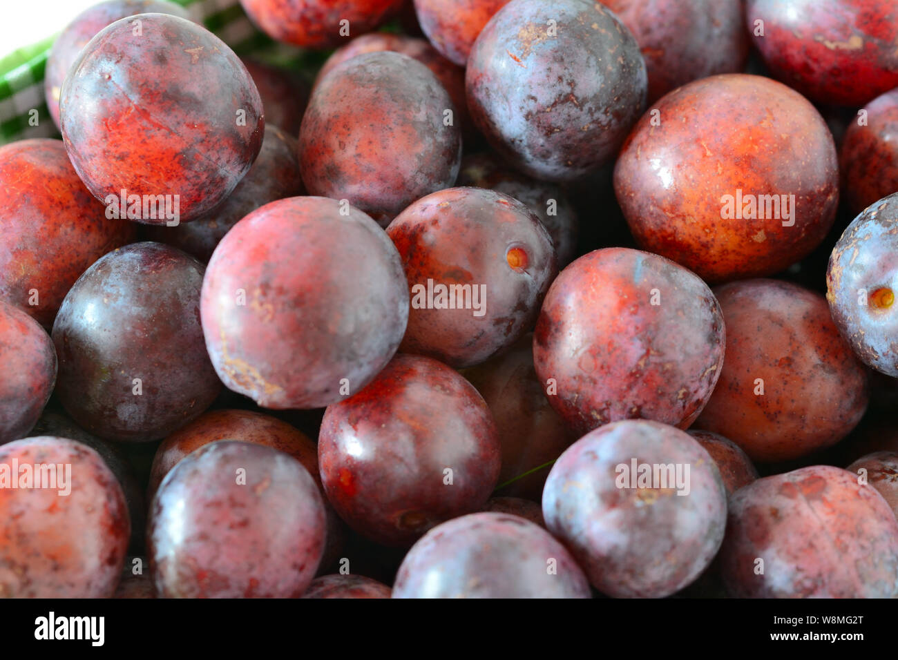 Natural red mirabelle plums from the garden Stock Photo - Alamy