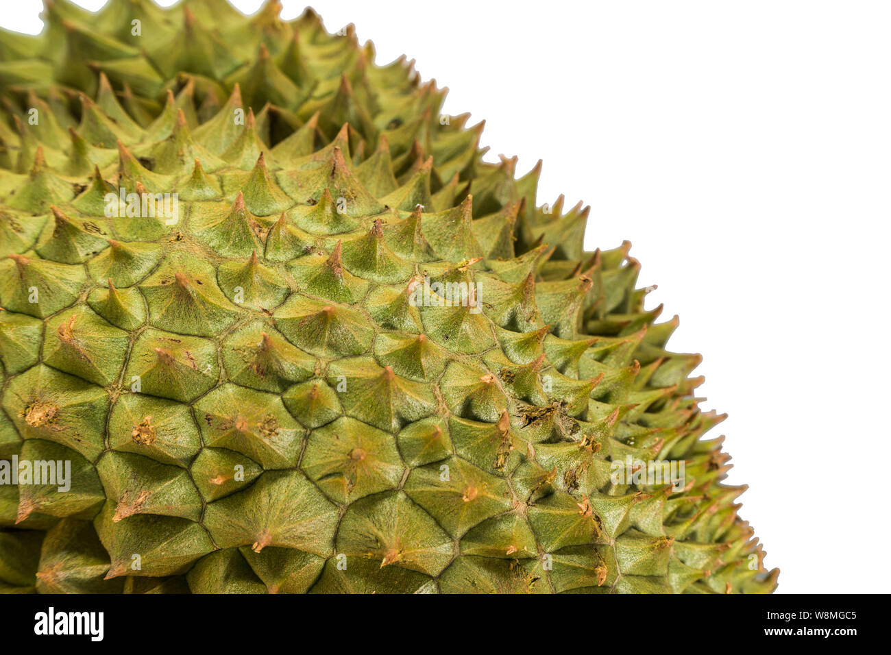 close up of durian spiky texture and background Stock Photo