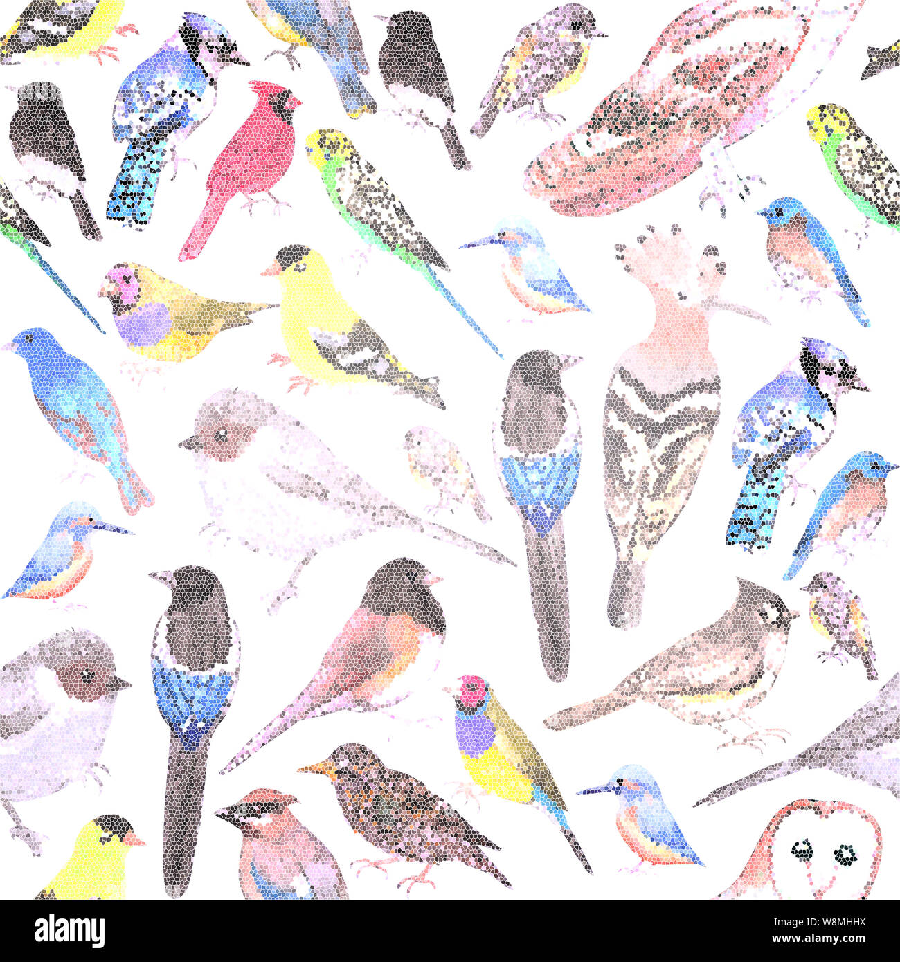 Birds of America- pets and wild birds seamless mosaic background Stock Photo