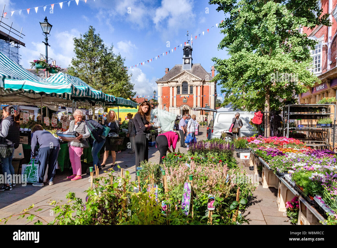 6 June 2019: Henley on Thames, UK - Plant stall at historic market, with the Town Hall behind, on a beautiful summer morning. Stock Photo