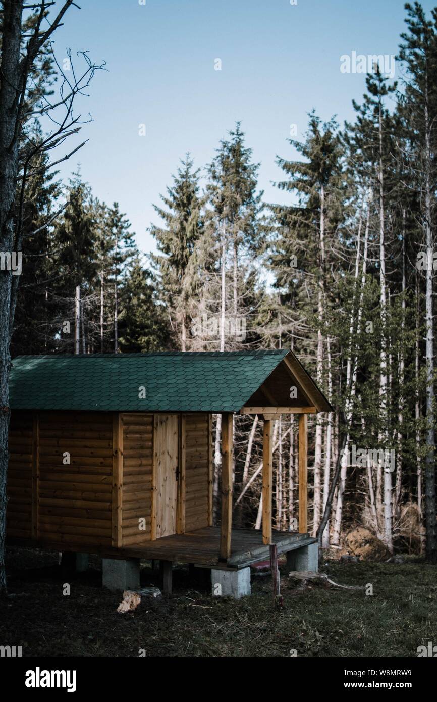 Vertical shot of a small wooden house surrounded by tall trees in a ...