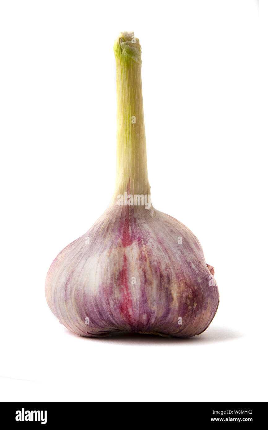 Garlic bulb on a white background Stock Photo