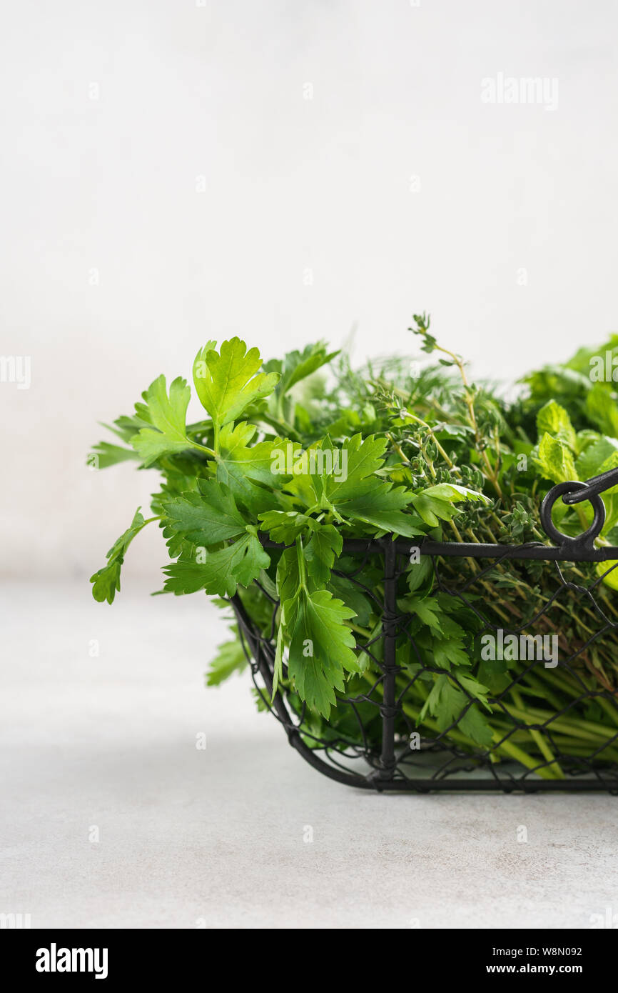 Basket with a variety of fresh green culinary herbs on gray background. Organic ingredients for cooking. Stock Photo