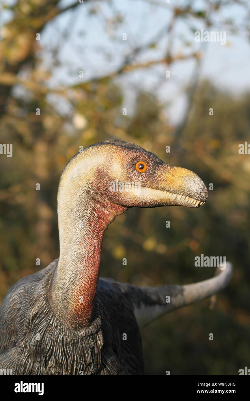 Ornitholestes with big eyes - Ornitholestes hermanni a small carnivorous predator whose name means "bird thief" Stock Photo