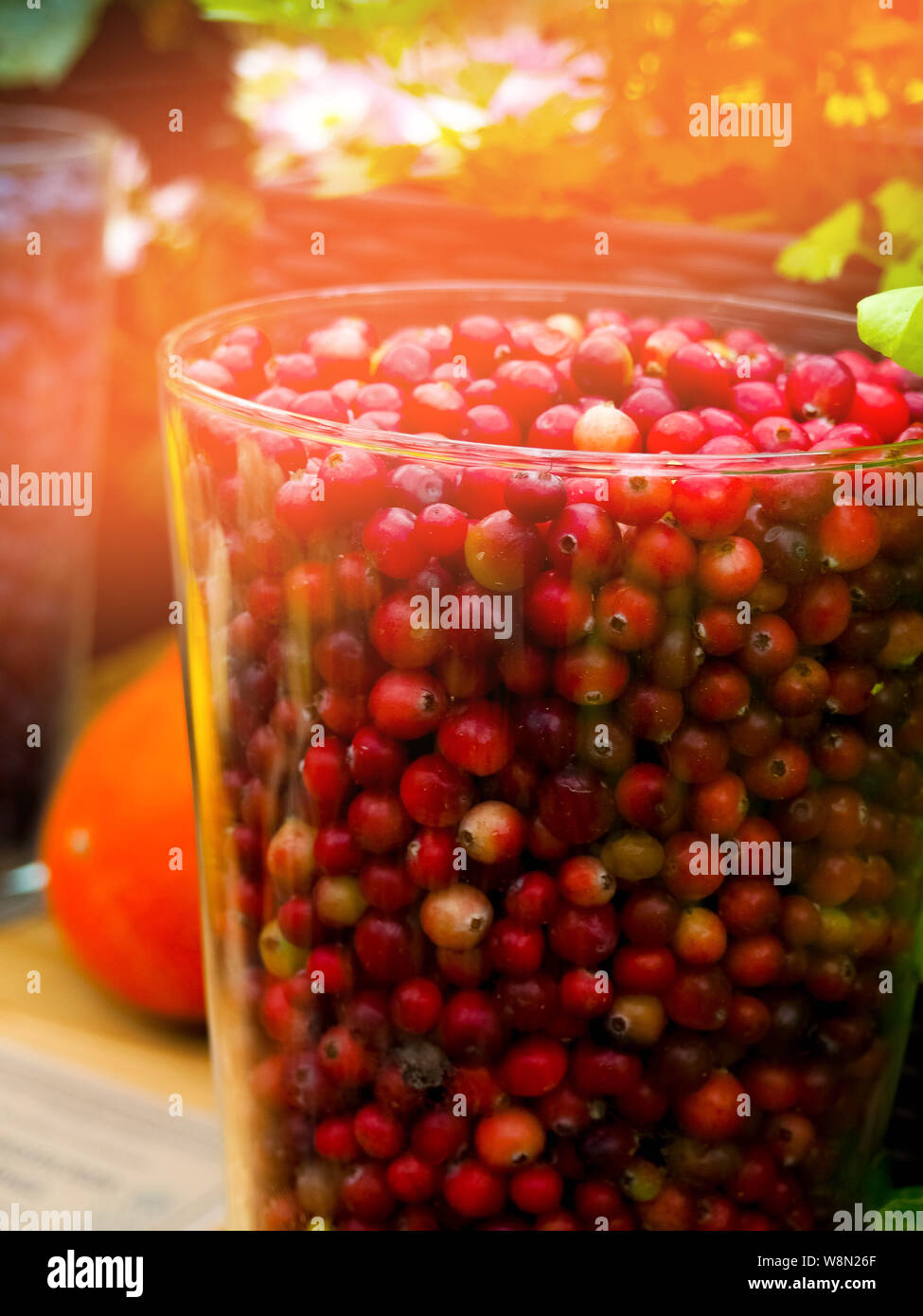 fresh and delicious cranberries fruits and vegetables Stock Photo Alamy