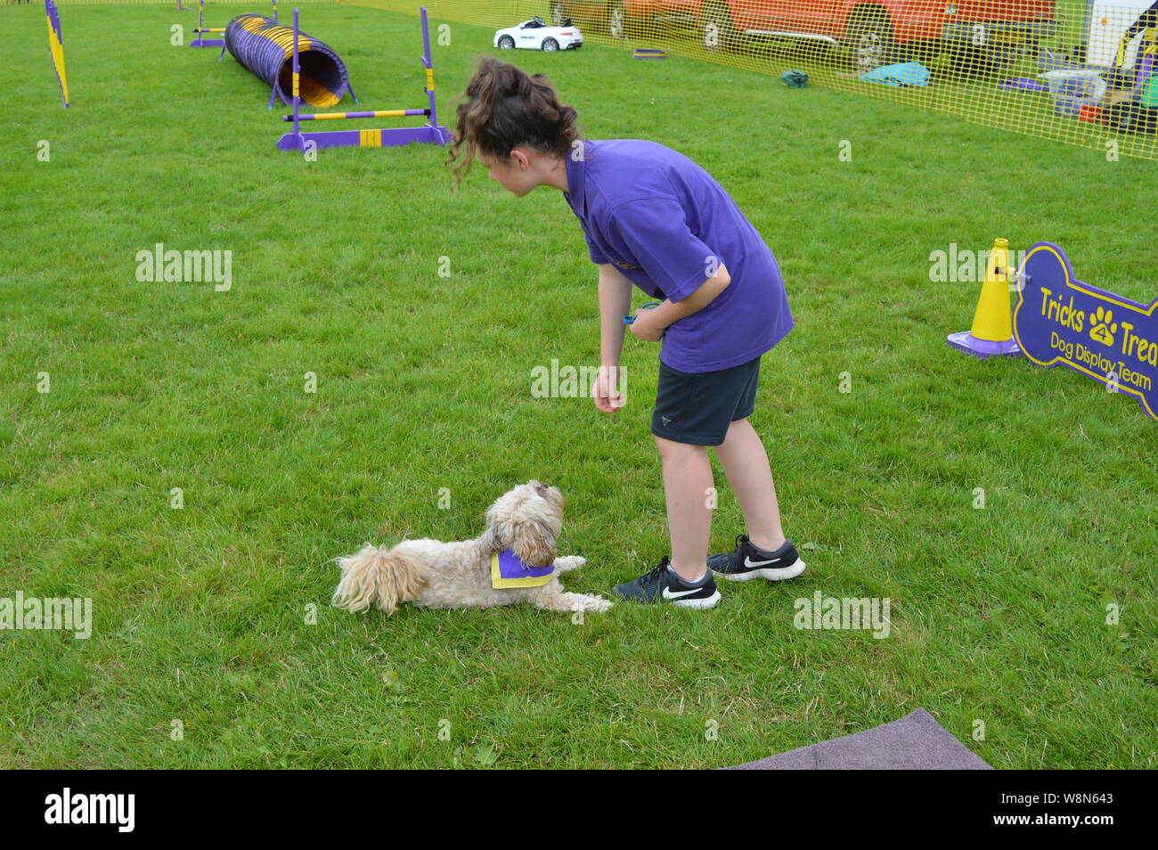 dog-competition-trained-dog-racing-and-jumping-and-playing-champion