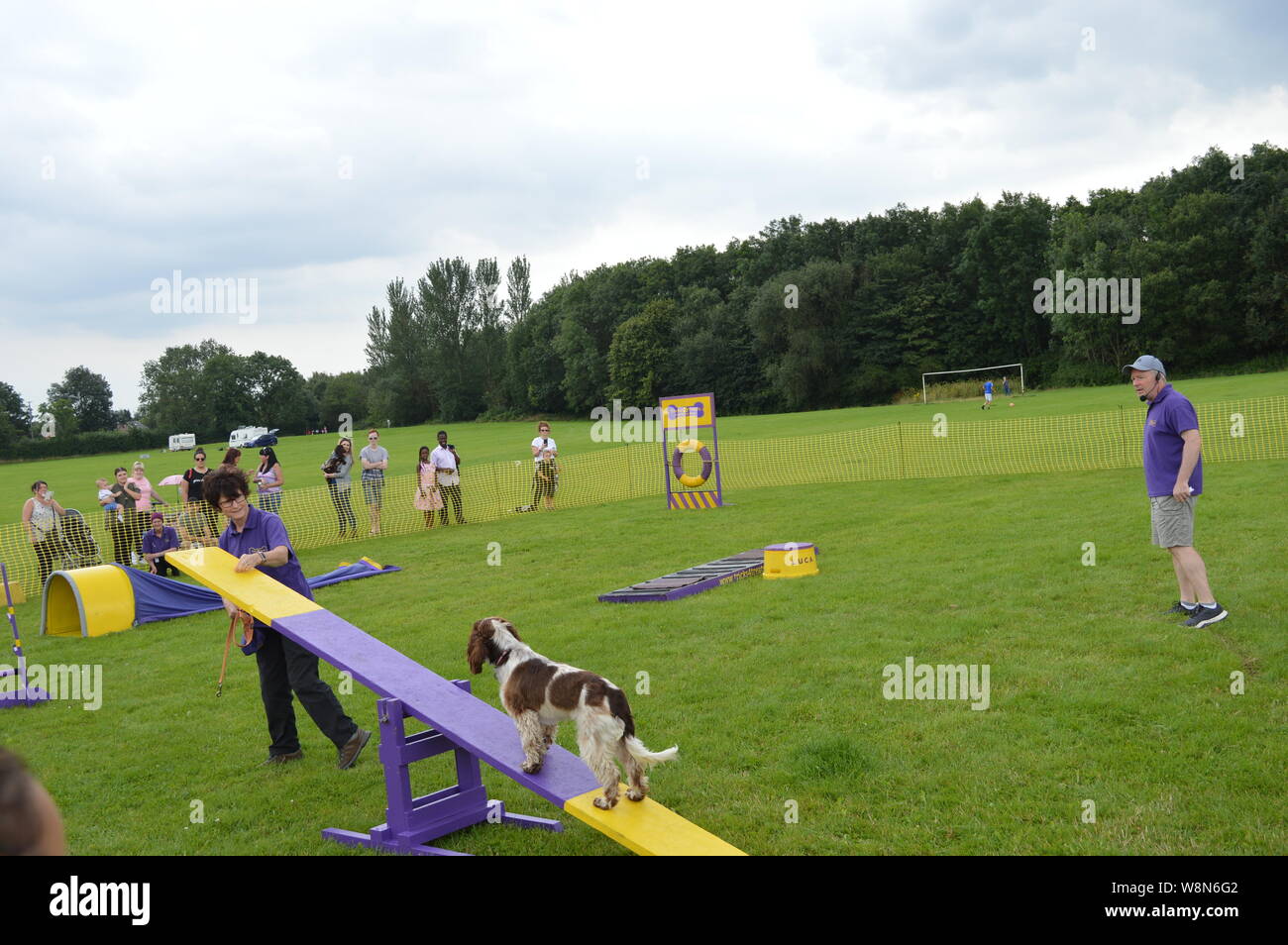 dog competition trained dog racing and jumping and playing champion
