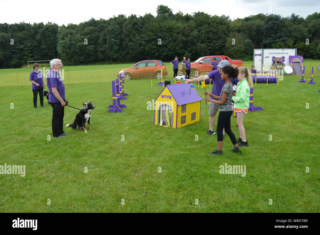 dog competition trained dog racing and jumping and playing champion ...